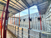 Shoring prop